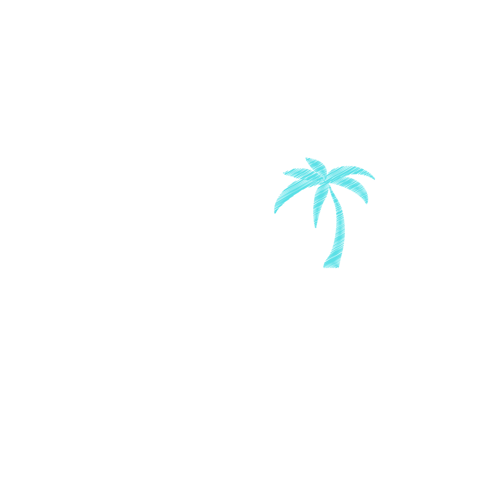 Travel Loonies