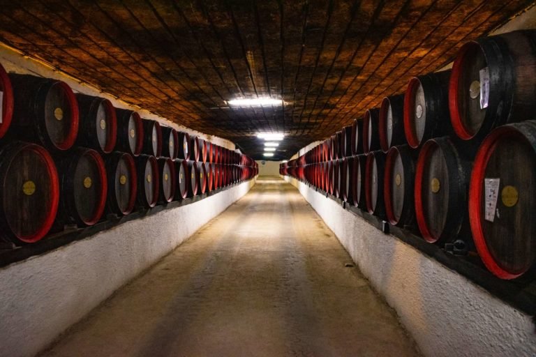 martinique rum tour cellar dark barrels